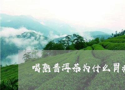 喝熟普洱茶为什么胃疼/2023061997359