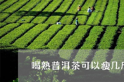 喝熟普洱茶可以瘦几斤/2023072406848