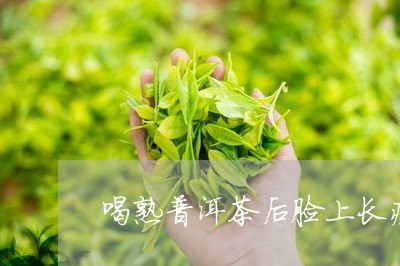 喝熟普洱茶后脸上长痘/2023092815126