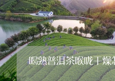 喝熟普洱茶喉咙干燥怎么办/2023112533793