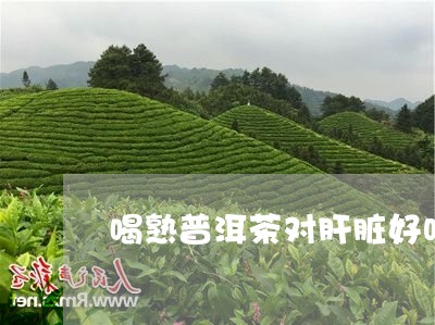 喝熟普洱茶对肝脏好吗/2023062118581