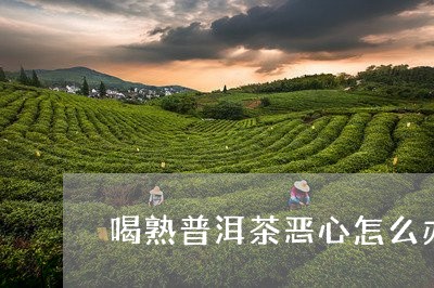 喝熟普洱茶恶心怎么办/2023072498360