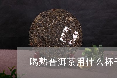 喝熟普洱茶用什么杯子/2023061743939