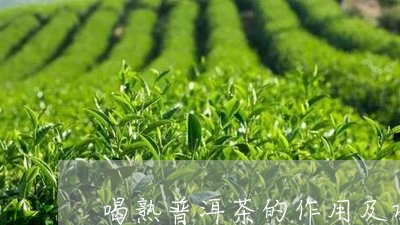 喝熟普洱茶的作用及功效/2023082424279