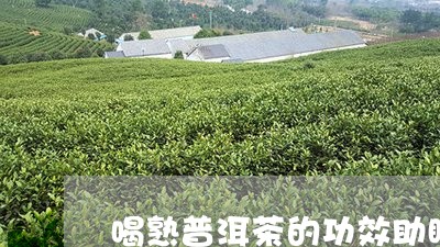 喝熟普洱茶的功效助眠作用/2023112516127