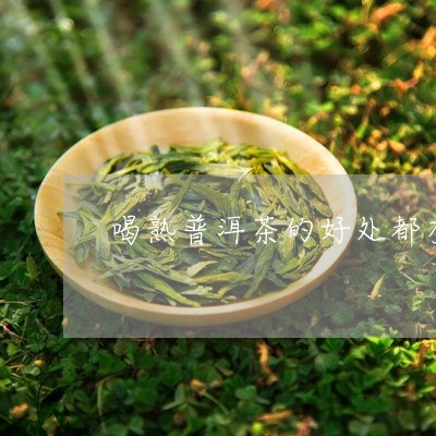 喝熟普洱茶的好处都有哪些功效/2023082941591