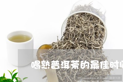 喝熟普洱茶的最佳时间/2023092864069