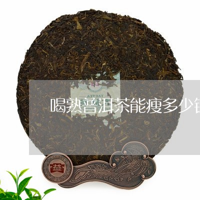 喝熟普洱茶能瘦多少钱/2023092768272