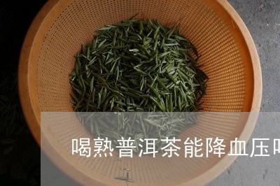 喝熟普洱茶能降血压吗/2023092822137