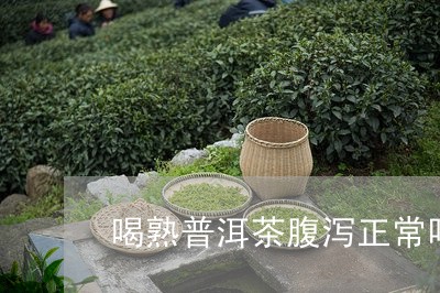 喝熟普洱茶腹泻正常吗/2023120768803