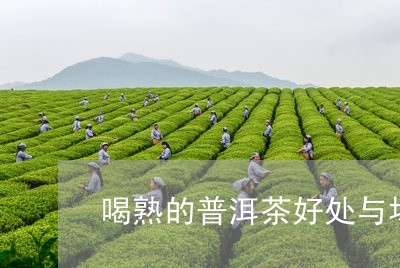 喝熟的普洱茶好处与坏处/2023110177148