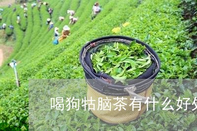 喝狗牯脑茶有什么好处/2023071467381