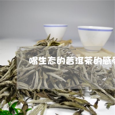 喝生态的普洱茶的感受/2023092863924