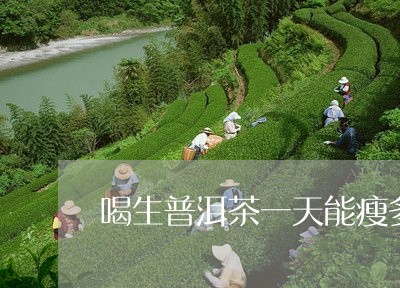 喝生普洱茶一天能瘦多少/2023082506040