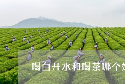 喝白开水和喝茶哪个好/2023071543694