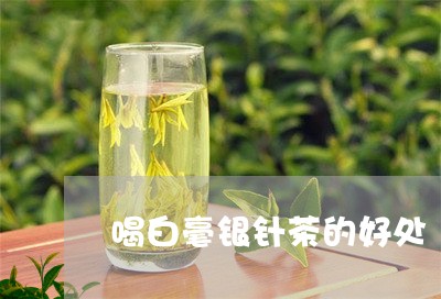 喝白毫银针茶的好处/2023120664626