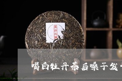 喝白牡丹茶后嗓子发干/2023120995249