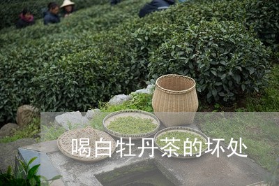 喝白牡丹茶的坏处/2023090683826