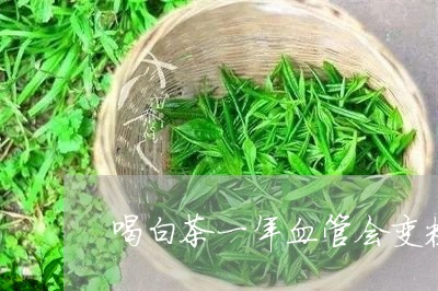 喝白茶一年血管会变粗吗/2023101635148