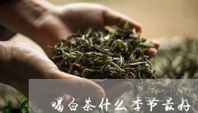 喝白茶什么季节最好/2023071675147