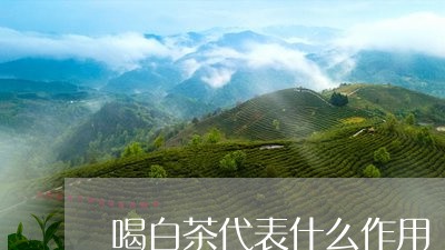 喝白茶代表什么作用/2023081498360