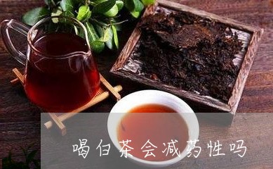 喝白茶会减药性吗/2023061649170