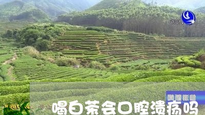 喝白茶会口腔溃疡吗/2023071685179