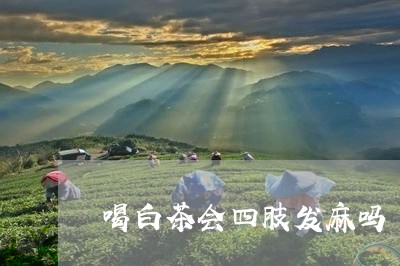 喝白茶会四肢发麻吗/2023071608503