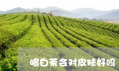 喝白茶会对皮肤好吗/2023121842928