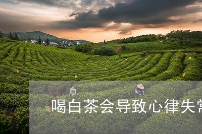 喝白茶会导致心律失常/2023092972893