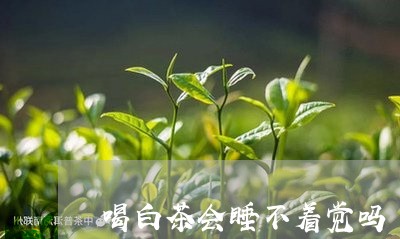 喝白茶会睡不着觉吗/2023121847591