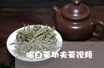 喝白茶功夫茶视频/2023061649486