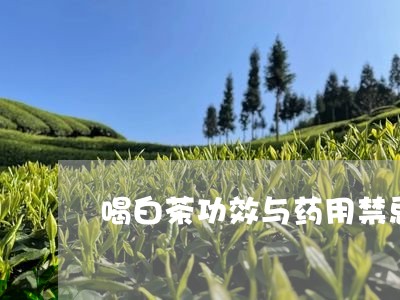 喝白茶功效与药用禁忌/2023092986140