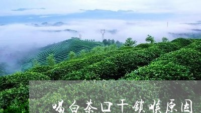 喝白茶口干锁喉原因/2023081430594