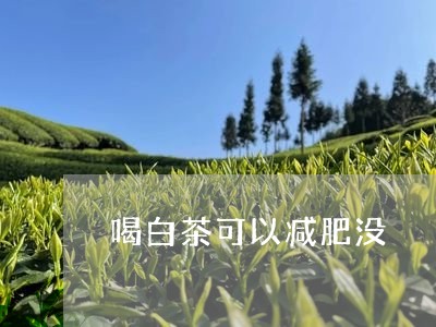 喝白茶可以减肥没/2023061642715