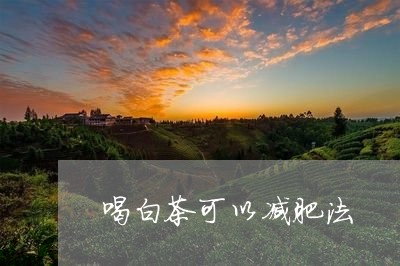 喝白茶可以减肥法/2023061628153