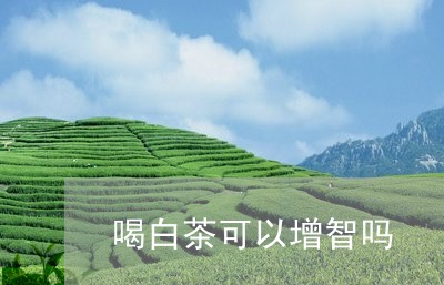 喝白茶可以增智吗/2023061633604