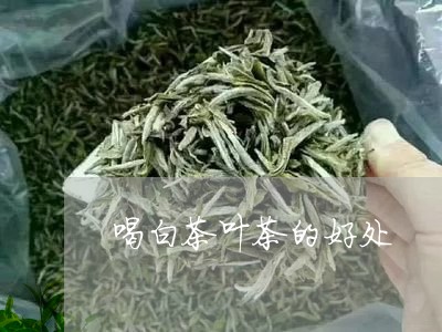 喝白茶叶茶的好处/2023061650625