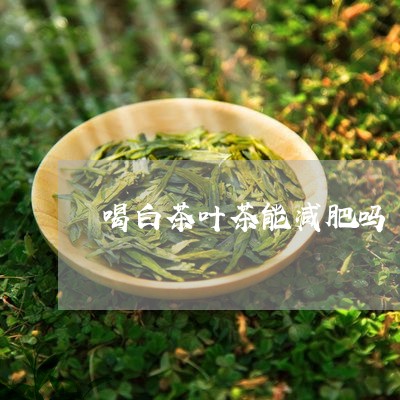 喝白茶叶茶能减肥吗/2023071664603