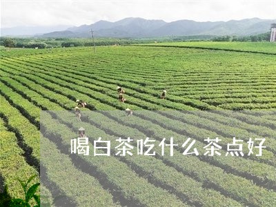 喝白茶吃什么茶点好/2023121894936