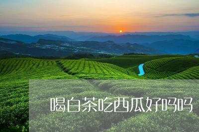 喝白茶吃西瓜好吗吗/2023121804915