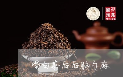 喝白茶后后脑勺麻/2023061610381