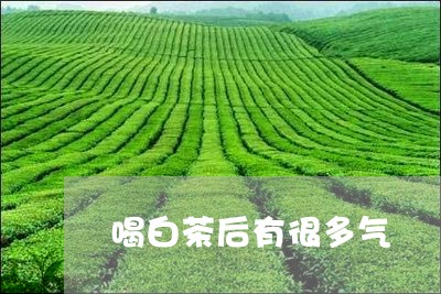 喝白茶后有很多气/2023061619180