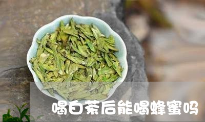 喝白茶后能喝蜂蜜吗/2023071601434