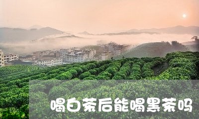 喝白茶后能喝黑茶吗/2023071624137