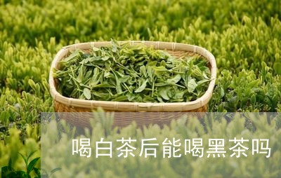 喝白茶后能喝黑茶吗/2023081413925