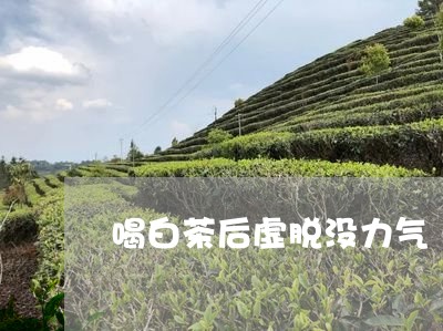 喝白茶后虚脱没力气/2023081462109