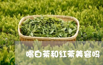 喝白茶和红茶美容吗/2023081404039