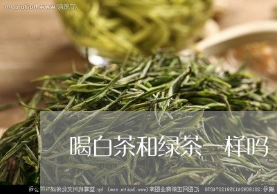 喝白茶和绿茶一样吗/2023071673826