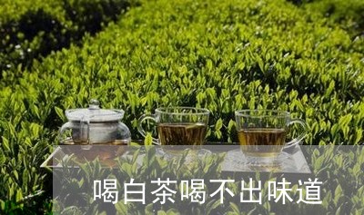 喝白茶喝不出味道/2023061661694